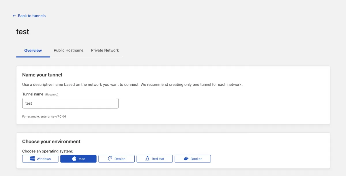 Cloudflare tunnel public hostname option