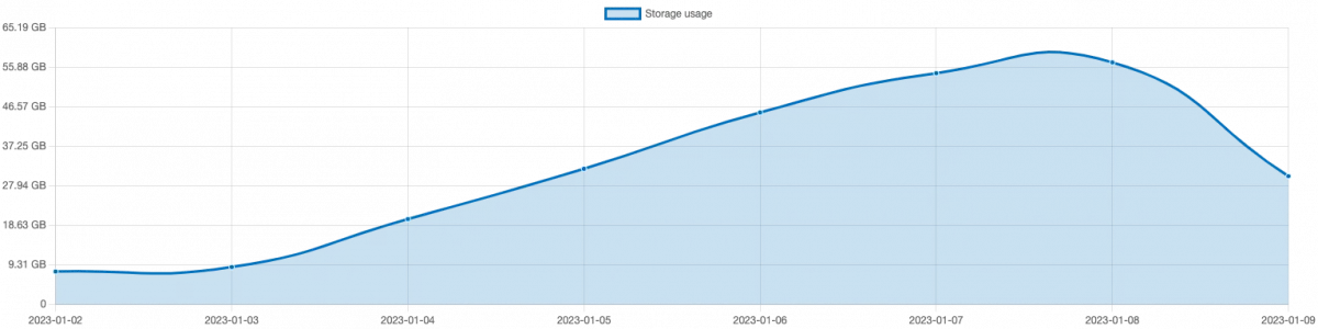 Storage usage showing nearly 11GB of cached Mastodon media